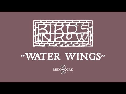 Birds In Row — Birds in Row - Water Wings
