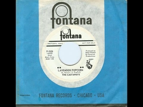 The Castaways — The Castaways - Lavender Popcorn b/w What Kind of Face - 45 Single