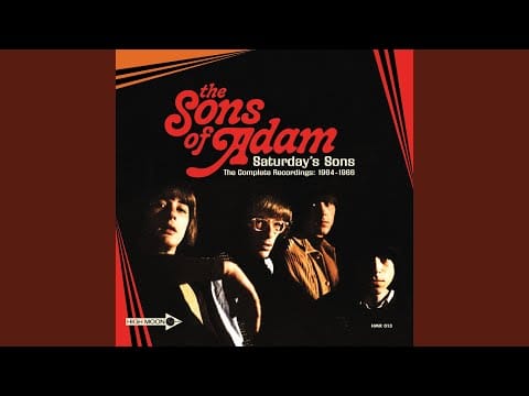 The Sons Of Adam — Lonely Surf Guitar