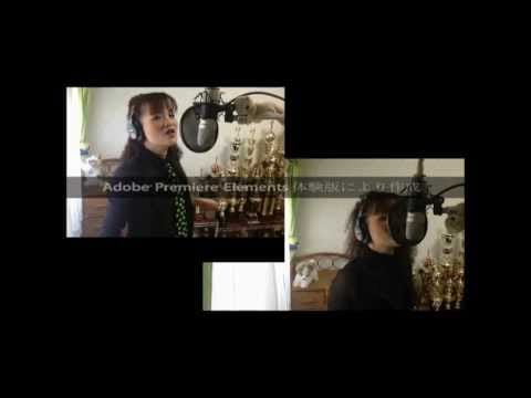 Double (2) — R&B 「Shake」doubleを緑子が1人で歌ってみた（Adobe Premiere Elements 11体験版にて編集）