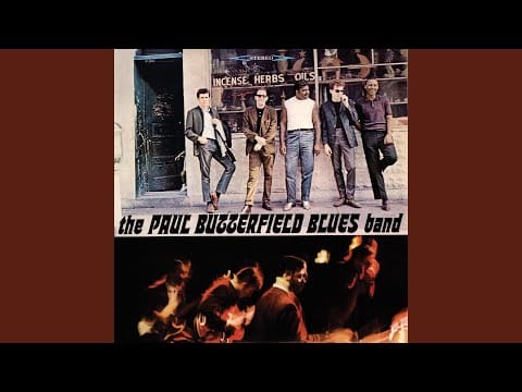 The Paul Butterfield Blues Band — Thank You Mr. Poobah