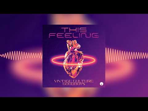 Vintage Culture — Vintage Culture & Goodboys - This Feeling