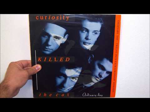 Curiosity Killed The Cat — Curiosity Killed The Cat - Ordinary day (1987 Extraordinary mix)