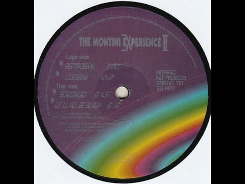 The Montini Experience — The Montini Experience II. --  Scizonoid