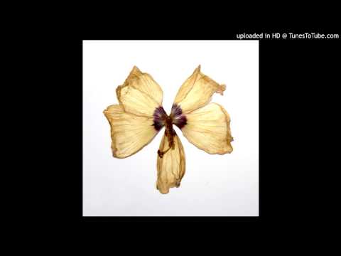Book Of Sand — Book Of Sand - The Face Of The Waters