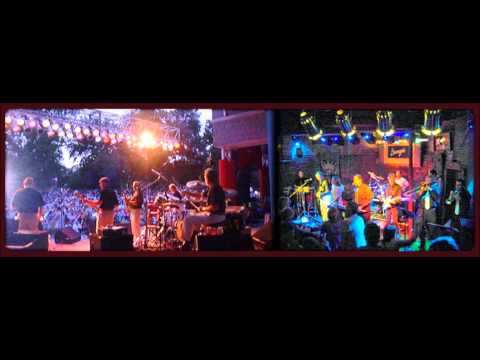 The Fabulous Flippers — Fabulous Flippers 'Turn on that Love Light'wmv