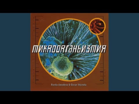 Goran Vejvoda — Linguafon Protiv Johna Kwesija