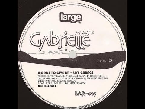 Roy Davis Jr. — Roy Davis Jr. - Gabrielle (Live Garage)
