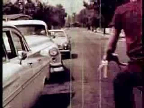 Dr. Dog — Dr Dog - Fools Life
