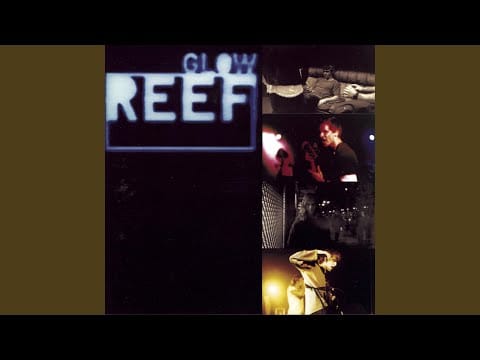 Reef — Robot Riff