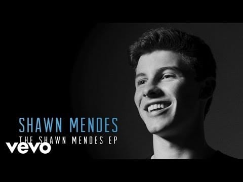 Shawn Mendes — One Of Those Nights