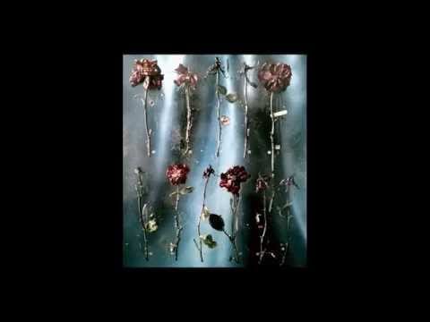 The Bardots — The Bardots - Sunsetted