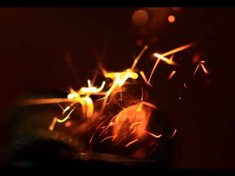 Fanu — Fanu - Ninja Chicks