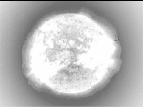 Tumi — Tumi-(People of the Light)-.wmv
