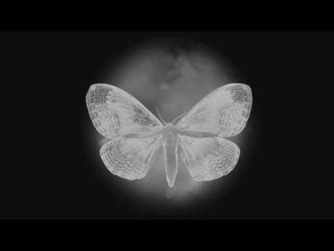 Sex Of Insects — Sex Of Insects - I'm Full (Hiroshi Watanabe Instrumental Remix)