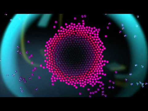 The Potbelleez — The Potbelleez - Hello (Official Video)