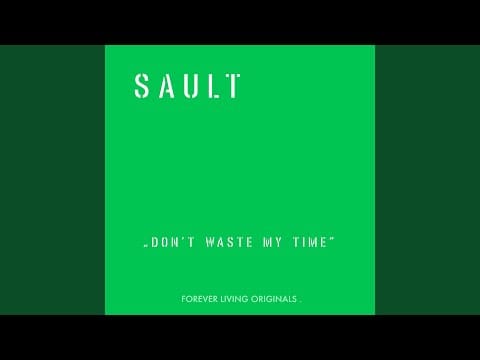 SAULT — Don't Waste My Time