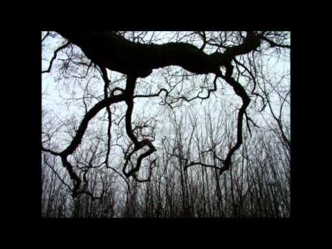 The Blue Hour — The Blue Hour - A tree stands alone