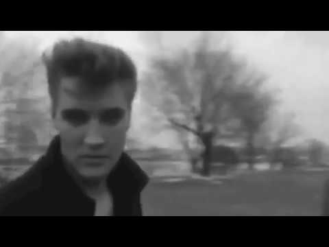 Behavior (4) — Behavior - Settler's Song