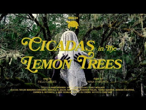 Field Guides — Field Guides - "Cicadas in the Lemon Trees" (Official Video)