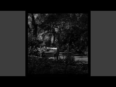 Patrick Wolf — The Night Safari