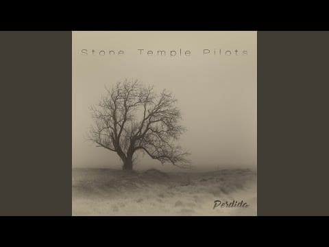 Stone Temple Pilots — You Found Yourself While Losing Your Heart