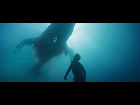 Novo Amor — Novo Amor - Birthplace (official video)