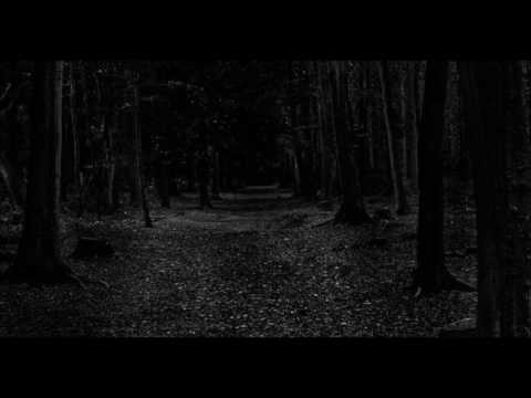 Stratis — Stratis - Zum Dunklen Walde