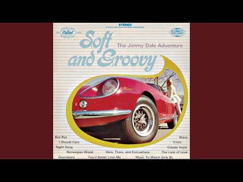 The Jimmy Dale Adventure — You'd Better Love Me