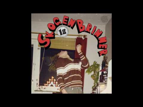 Skogen Brinner — Skogen Brinner - 1st (Full Album 2013)