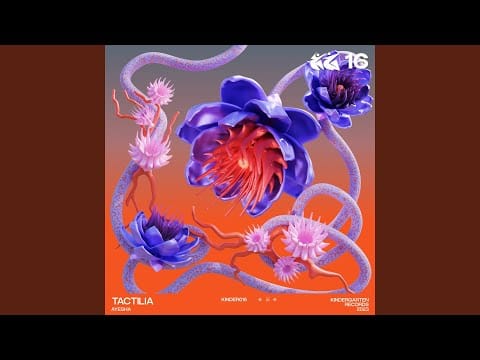 Ayesha (4) — Tactilia