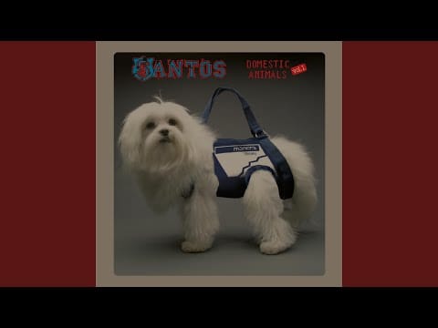 Santos — The Echo Box