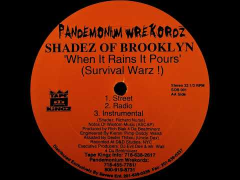 Shadez Of Brooklyn — Shadez Of Brooklyn - When It Rains It Pours (Survival Warz!) RARE BROOKLYN RAP