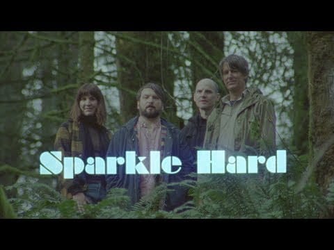 Stephen Malkmus & The Jicks — Stephen Malkmus & The Jicks - Sparkle Hard: The Supercut