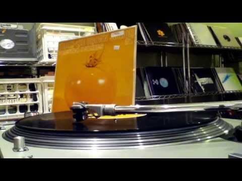 H2O — H2O - All Over Your Face (Terry Lee Brown Jr's Mix) Selected Remixes 2 _Plastic City PLACLP027-3