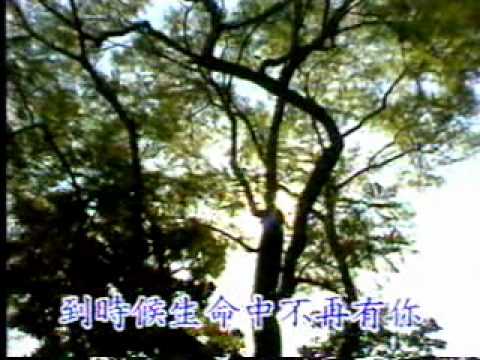 Stella Chang — 張清芳 - 加州陽光