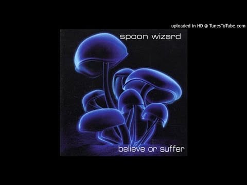 The Spoon Wizard — Spoon Wizard - Adrenaline Rush- track 5 - from the Cd believe or suffer (2001)