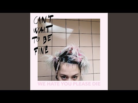We Hate You, Please Die — Vanishing Patience