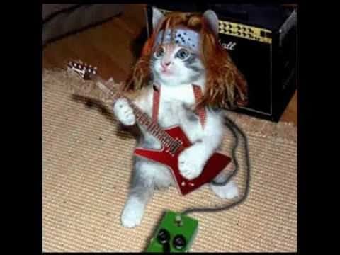 Willi One Blood — wane wane-Whiney, Whiney Willi One Blood