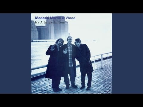 Medeski Martin & Wood — Sand