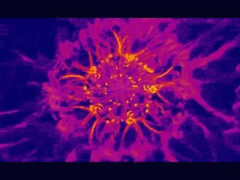 The Boyoyo Boys — The Boyoyo Boys - "Brakpan Number 2"