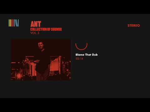 A.N.T. — Ant - Blame That Dub (Official Audio)