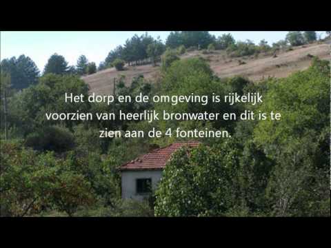 The Wipe-Outs — The whipe outs - Aan de rand van het groene woud