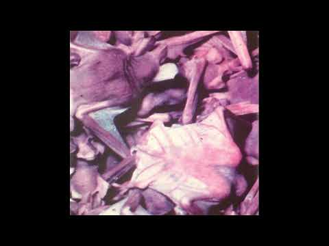 Wolf Eyes — Wolf Eyes – Lost Sockets (2004)