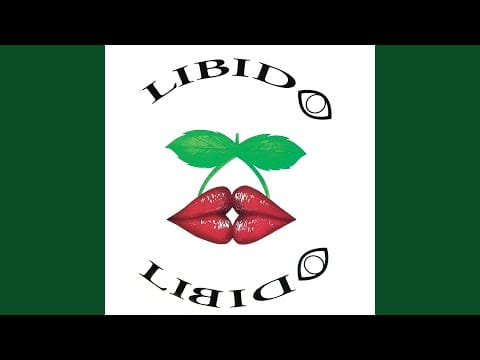 Libido Libido — Déjame (David Tremoleda Remix)