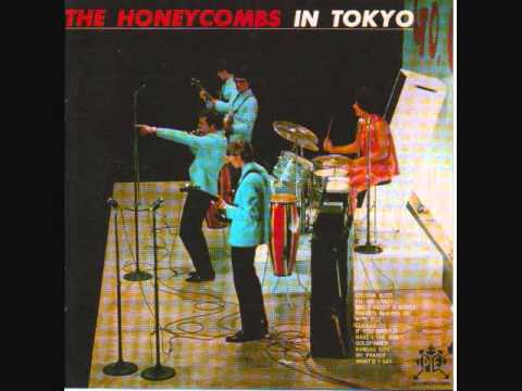 The Honeycombs — THE HONEYCOMBS / COLOR SLIDE - LIVE IN TOKYO