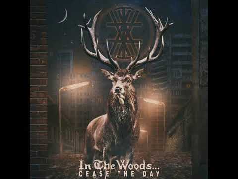 In The Woods... — In the Woods... - Cease the Day