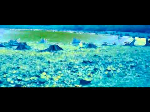 Neil Landstrumm — Neil Landstrumm - Ode To Passive Souls [KILLEKILL 017]
