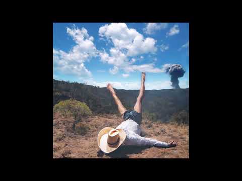 Geese (11) — Geese - Undoer (Official Audio)
