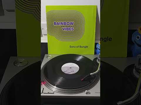 Sons Of Bungle — Sonz Of Bungle - Rainbow Vibes ( Extended ) - BMG Records -1993
